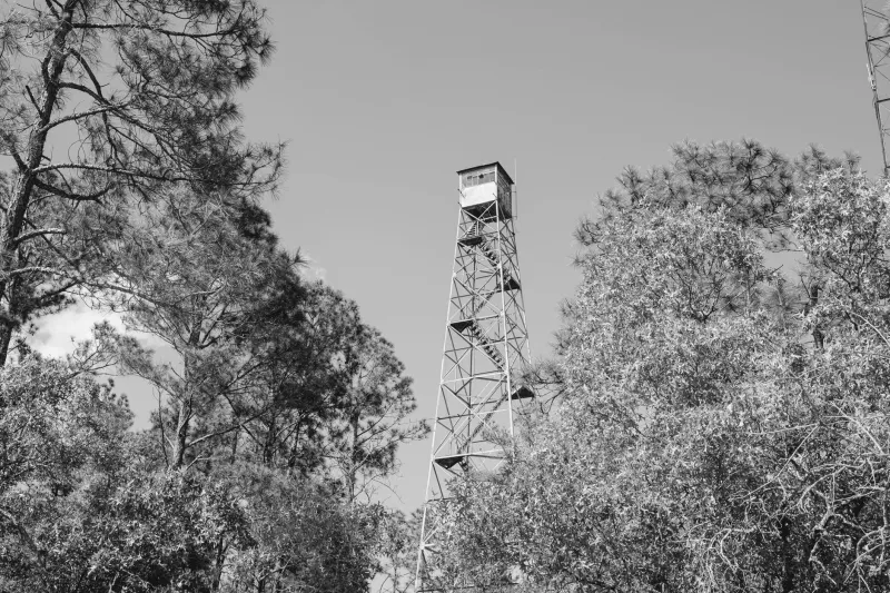 America's Sky Sentinels: The Solitary Lives of Fire Tower Watchmen