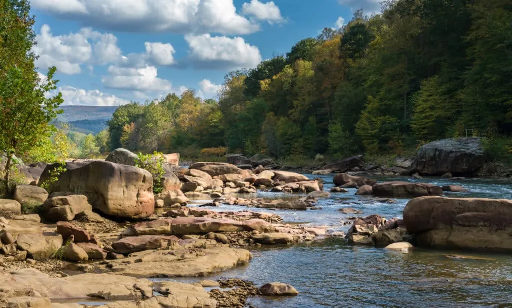 Cheat River