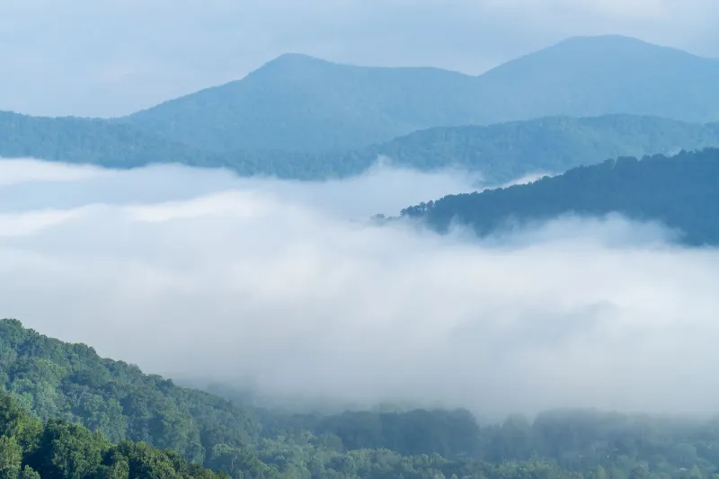 What the River Was Saying: The Appalachian Flood Readers Who Knew Before the Gauges Did