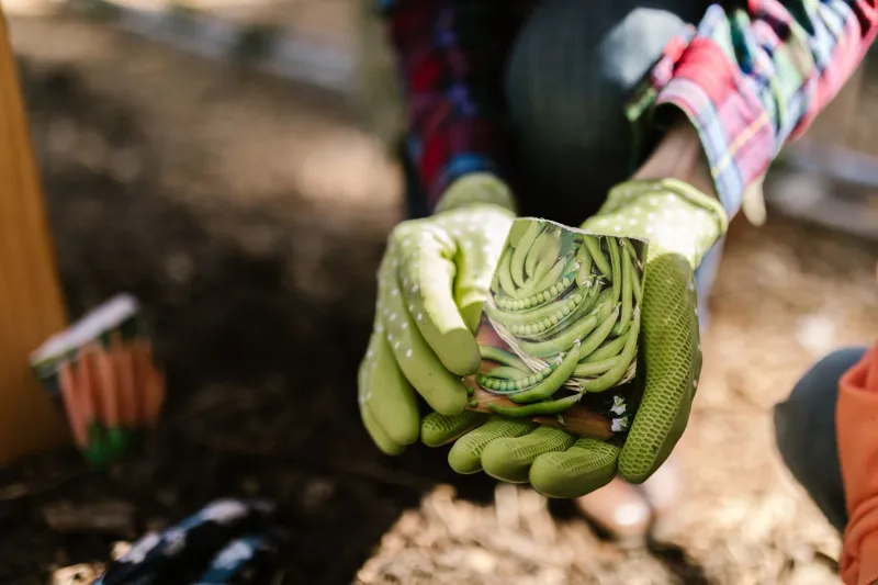 Buried in the Backyard: The Unsung Gardeners Who Saved American Food from Itself