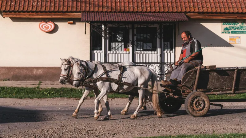 Before Amazon Prime: The Horse-Drawn Libraries That Delivered Books to America's Forgotten Places