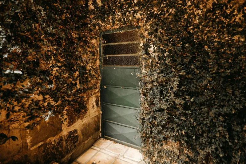 Hidden in Plain Sight: The Secret Architecture of Freedom America Forgot to Preserve