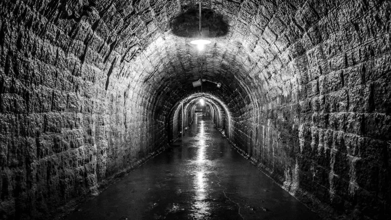 Secret Passages in Plain Sight: The Architecture of Freedom America Forgot to Document